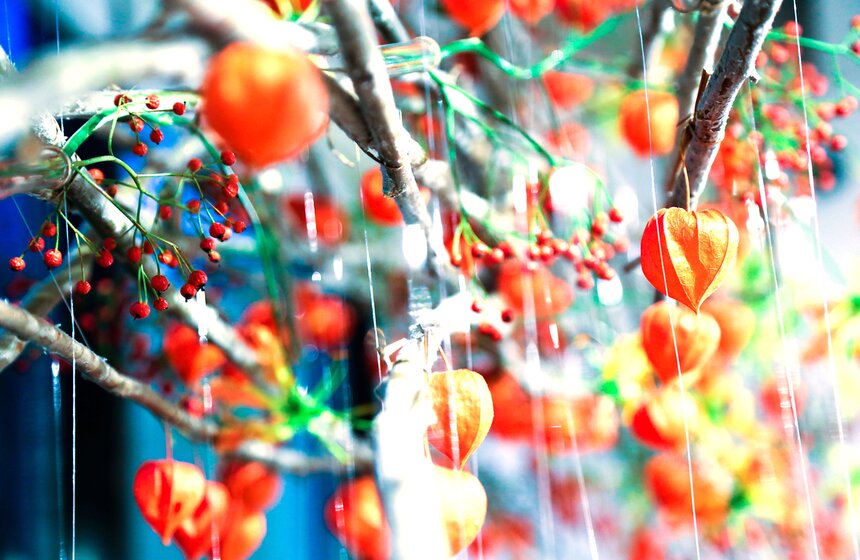 Выставка флористических инсталляций в эко-стиле 2 фото