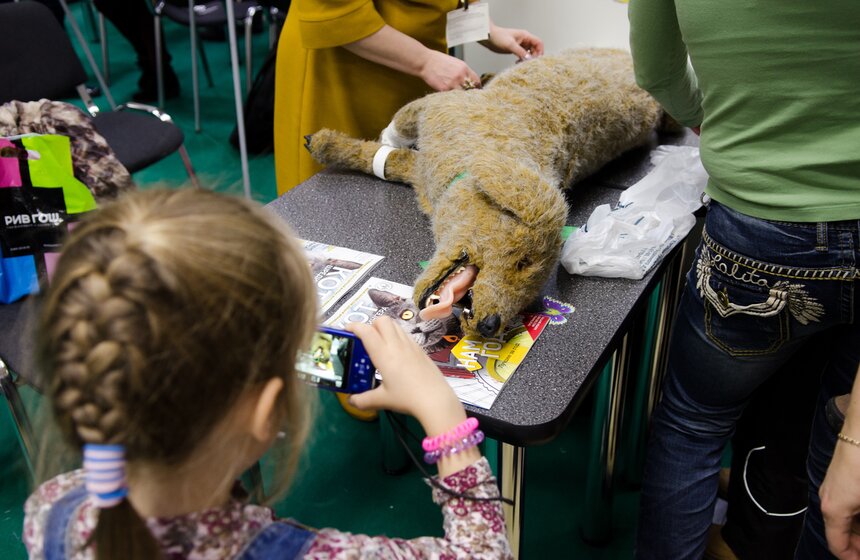 Фестиваль науки в Экспоцентре на Красной Пресне 9 фото