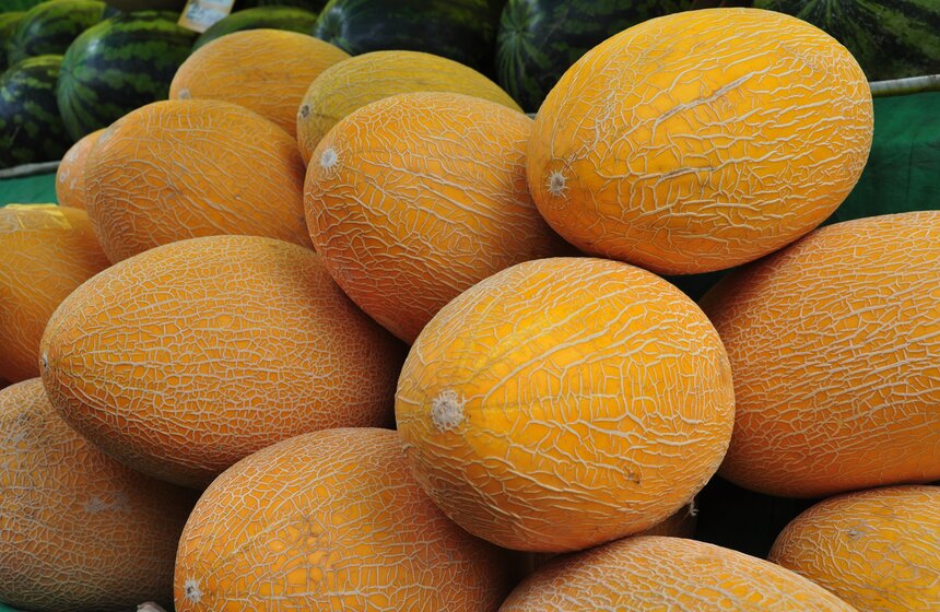 Городские истории: как работают ярмарки выходного дня 4 фото