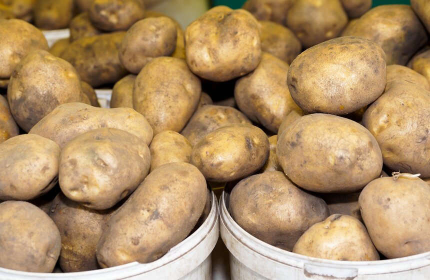 Городские истории: как работают ярмарки выходного дня 14 фото