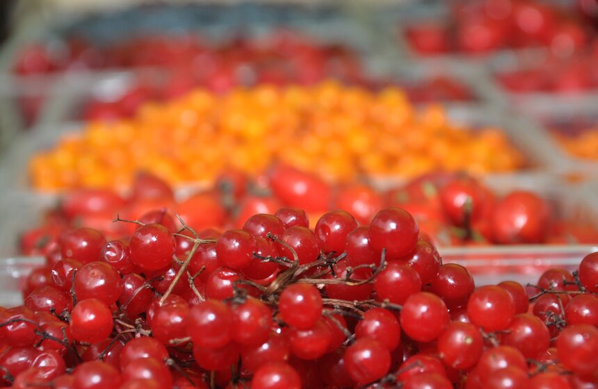 Городские истории: как работают ярмарки выходного дня 10 фото