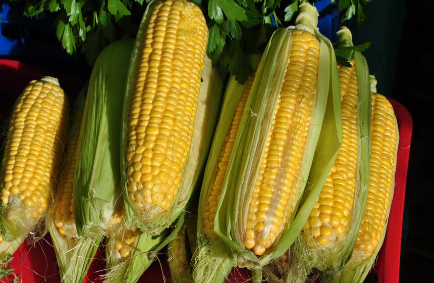 Городские истории: как работают ярмарки выходного дня 8 фото