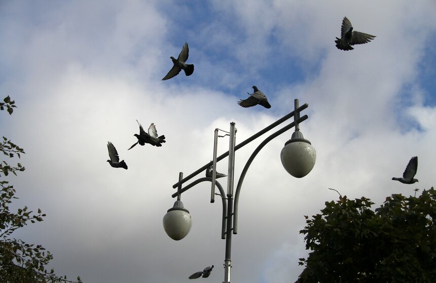 В столице завершено благоустройство Варшавского шоссе 9 фото