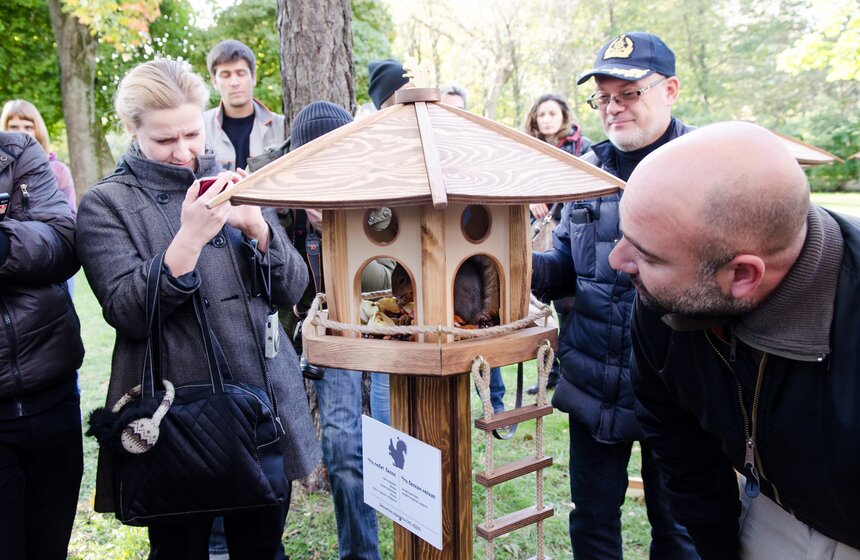 На ВДНХ появились домики для белок 15 фото