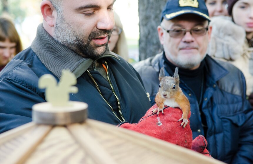 На ВДНХ появились домики для белок 13 фото