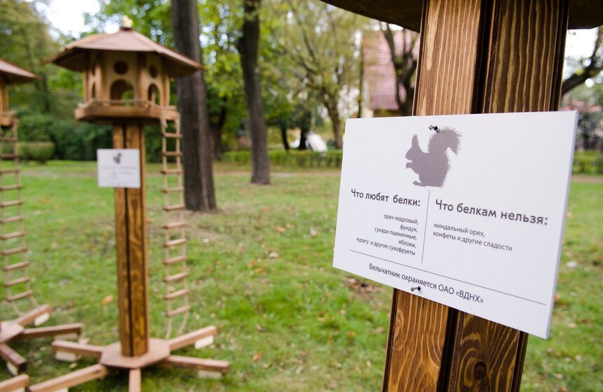 На ВДНХ появились домики для белок 1 фото