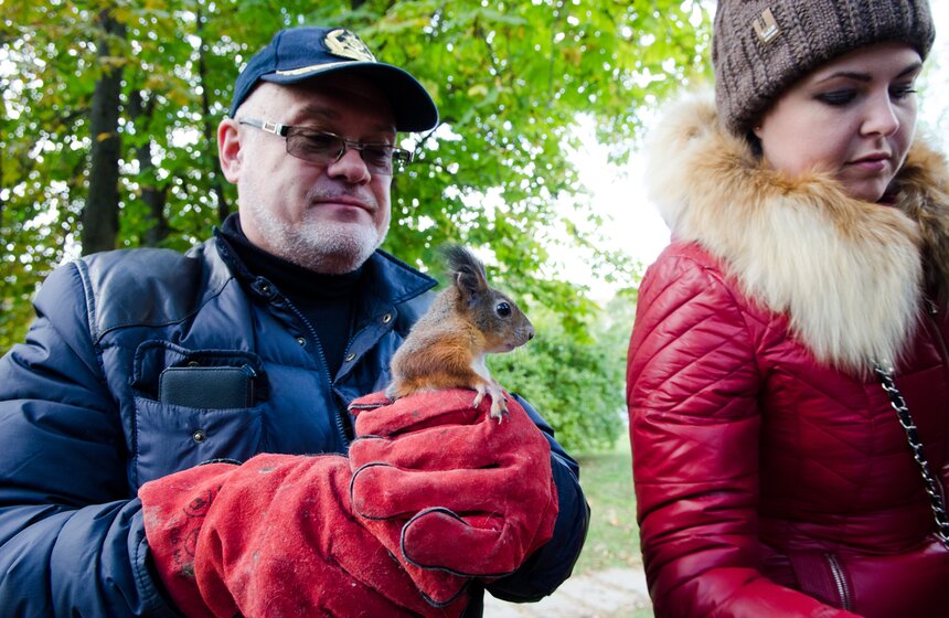 На ВДНХ появились домики для белок 7 фото