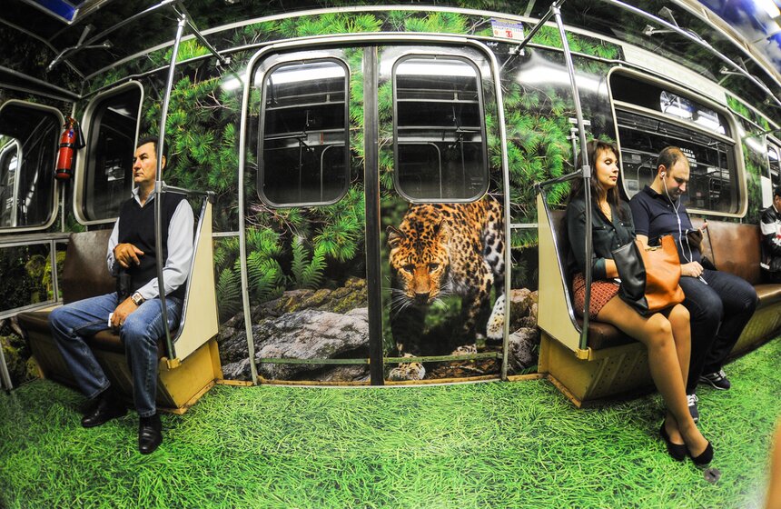 В столичной подземке появился посвященный тиграм поезд 20 фото