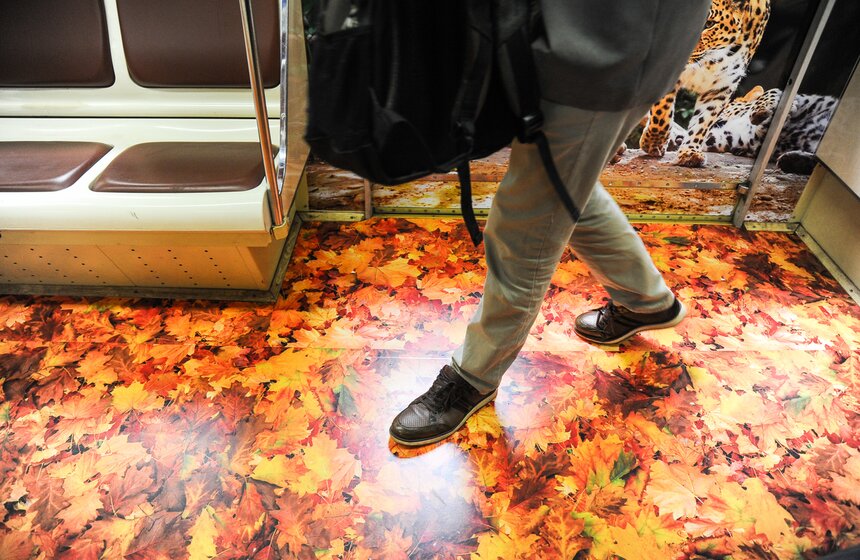 В столичной подземке появился посвященный тиграм поезд 7 фото