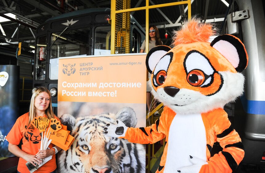 В столичной подземке появился посвященный тиграм поезд 5 фото