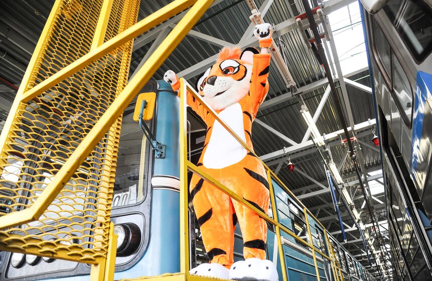 В столичной подземке появился посвященный тиграм поезд 3 фото