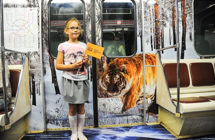 В столичной подземке появился посвященный тиграм поезд 17 фото