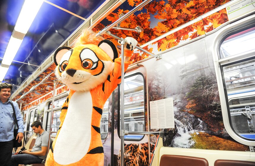 В столичной подземке появился посвященный тиграм поезд 9 фото