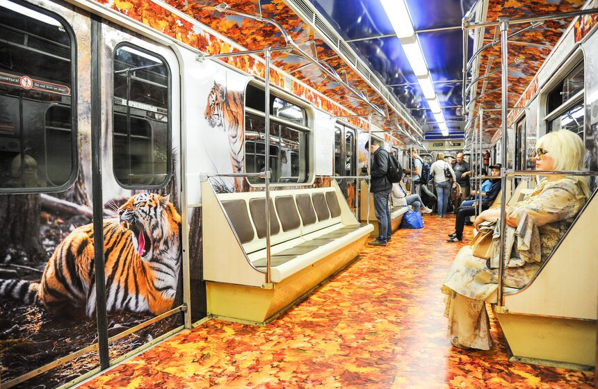 В столичной подземке появился посвященный тиграм поезд 14 фото