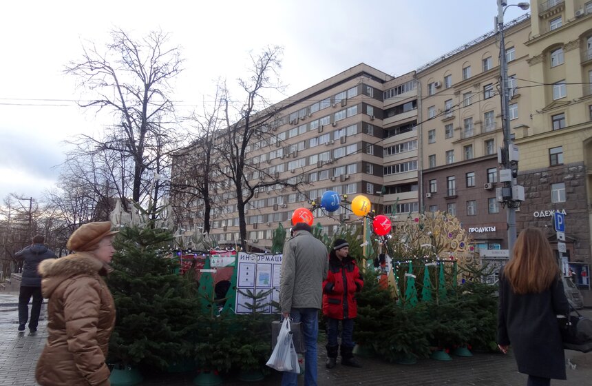 Как работают столичные елочные базары 15 фото