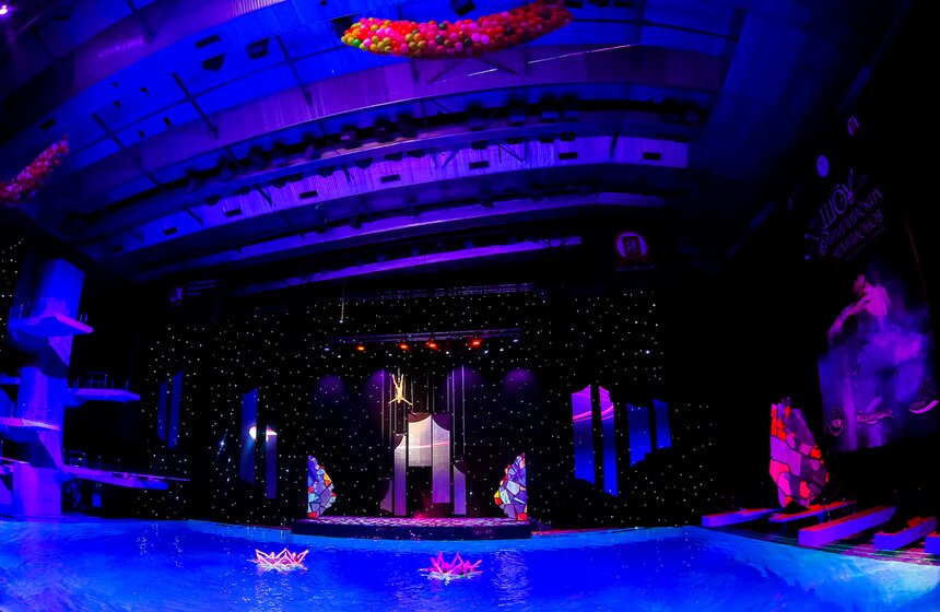 Состоялось шоу олимпийских чемпионов по синхронному плаванию 14 фото