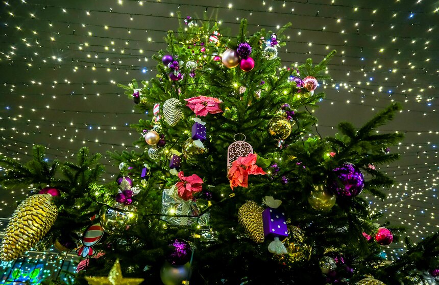 В ожидании Нового года: предпраздничная столица в фотографиях 24 фото