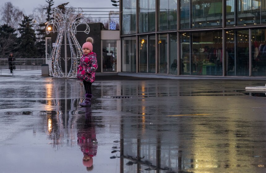 Цирк на проспекте Вернадского открылся после ремонта 3 фото