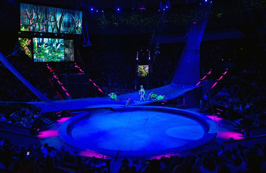 Цирк на проспекте Вернадского открылся после ремонта 18 фото