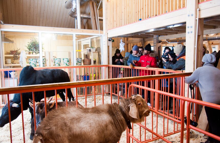 Снегурочка и Рой Джонс открыли зимний сезон на "Городской ферме" 12 фото