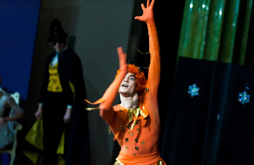 Выставка "Щелкунчик" в Международном центре балета 25 фото