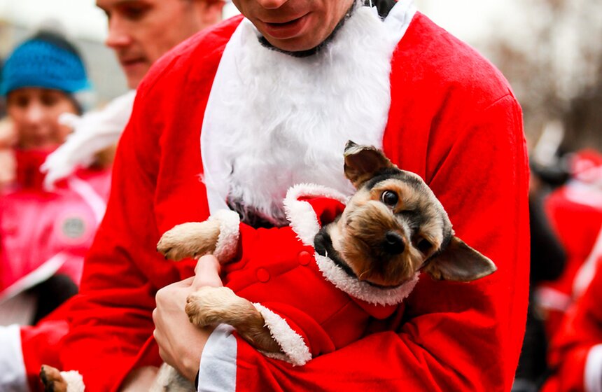 На ВДНХ прошел благотворительный забег Дедов Морозов 3 фото