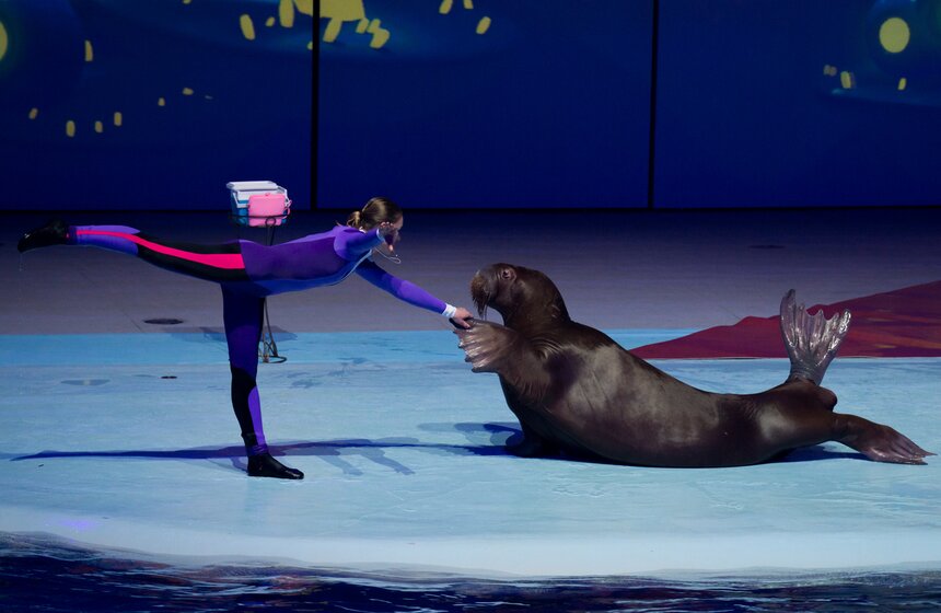 На ВДХН состоялась премьера первого в мире морского мюзикла 18 фото