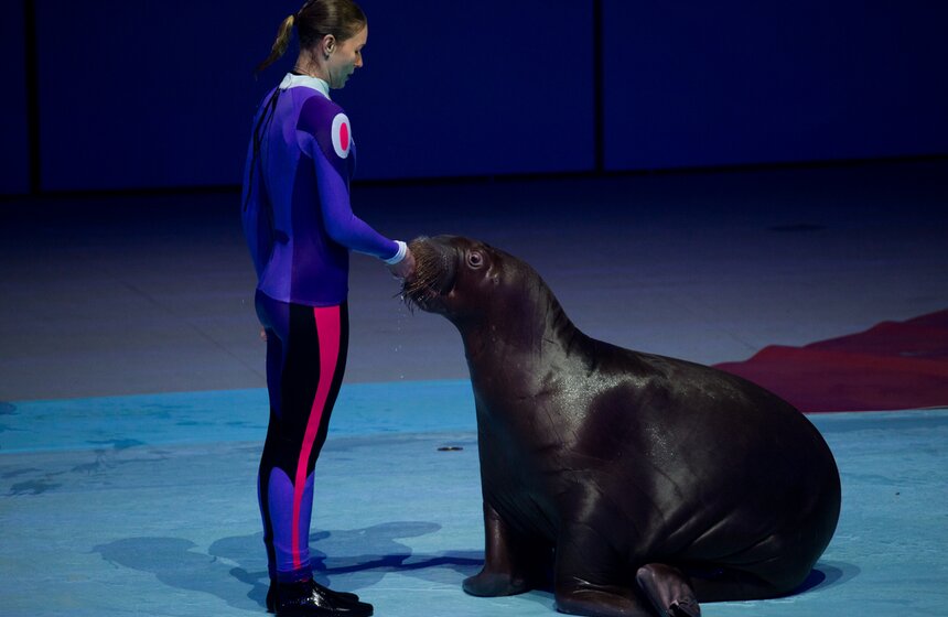 На ВДХН состоялась премьера первого в мире морского мюзикла 17 фото