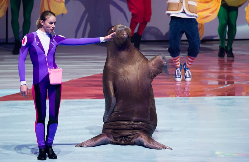 На ВДХН состоялась премьера первого в мире морского мюзикла 20 фото