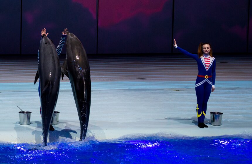 На ВДХН состоялась премьера первого в мире морского мюзикла 1 фото