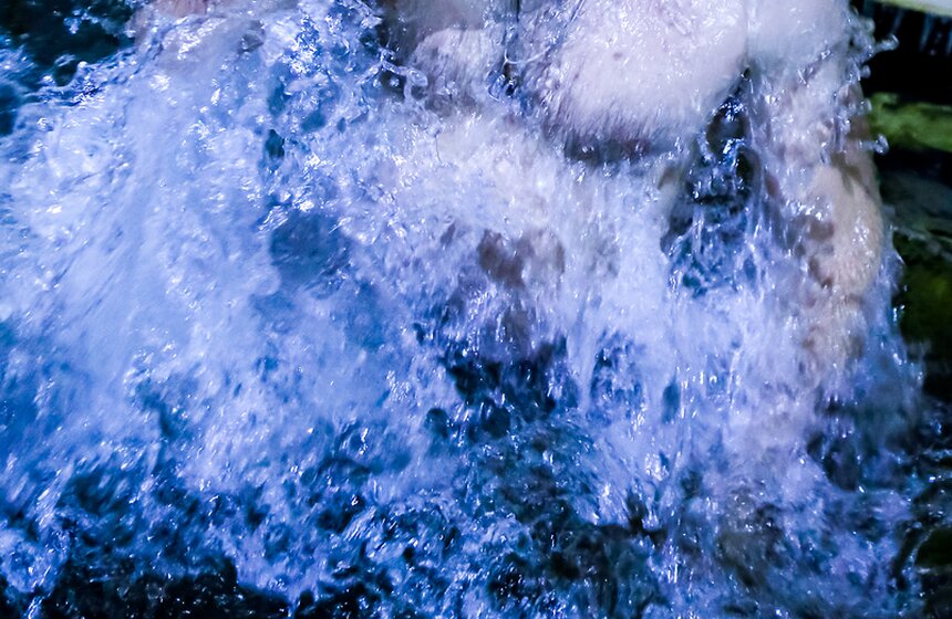 Крещенские купания в Воронцовском парке 11 фото