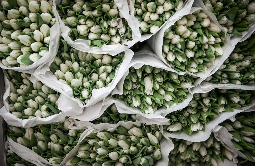 Цветы в киосках спальных районов столицы 9 фото