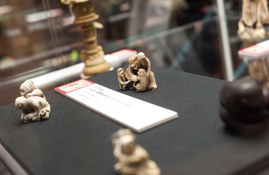 Открылась выставка "Под знаком огненной обезьяны" 2 фото