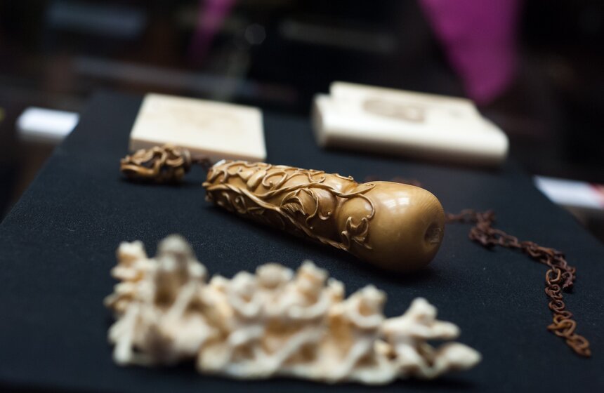 Открылась выставка "Под знаком огненной обезьяны" 4 фото