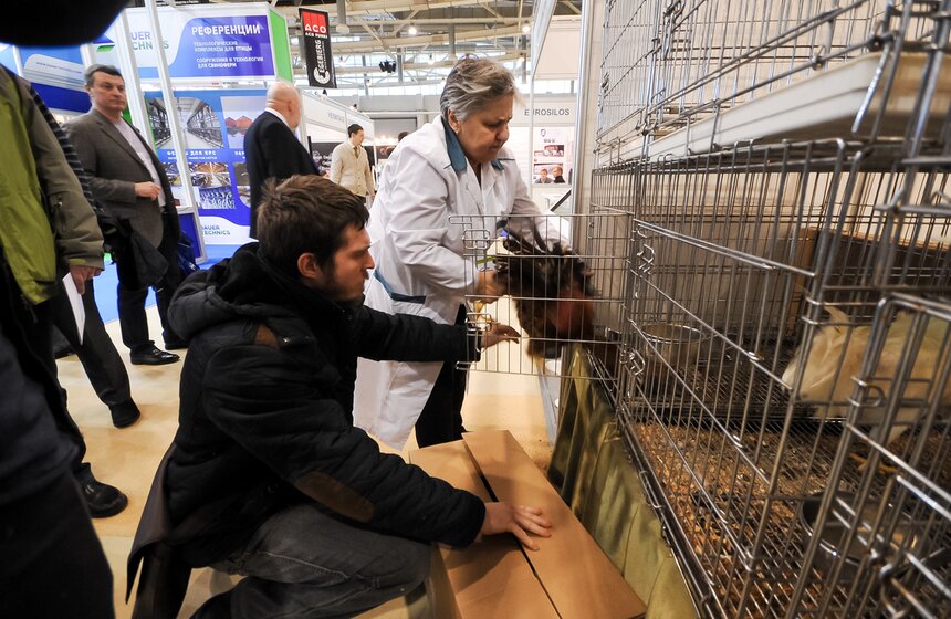 На ВДНХ прошла выставка "АгроФарм-2016" 6 фото