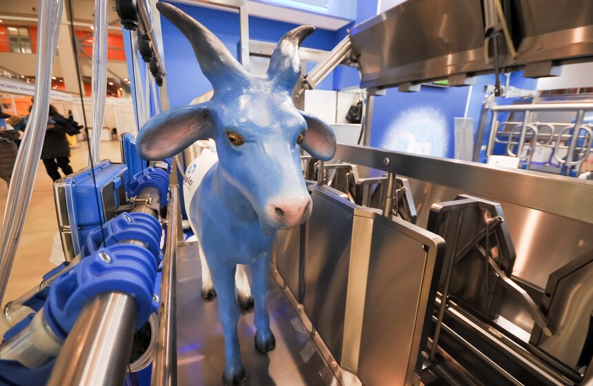 На ВДНХ прошла выставка "АгроФарм-2016" 16 фото