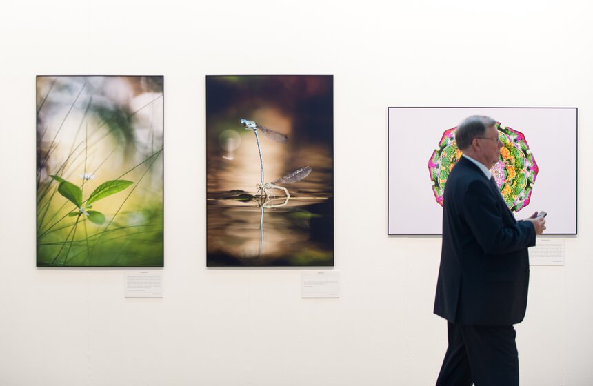 Фестиваль "Первозданная Россия" в Центральном доме художника 25 фото