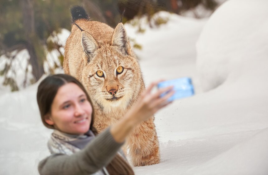 Фестиваль "Первозданная Россия" в Центральном доме художника 18 фото