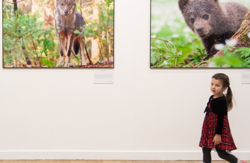 Фестиваль "Первозданная Россия" в Центральном доме художника 12 фото