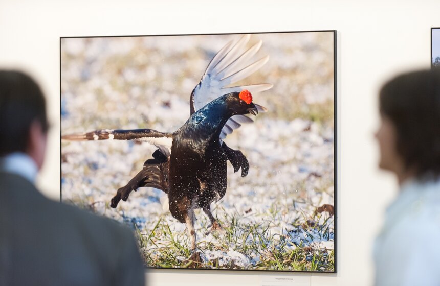 Фестиваль "Первозданная Россия" в Центральном доме художника 11 фото