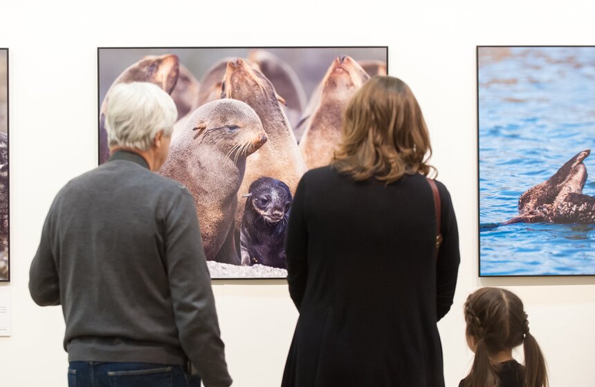 Фестиваль "Первозданная Россия" в Центральном доме художника 16 фото