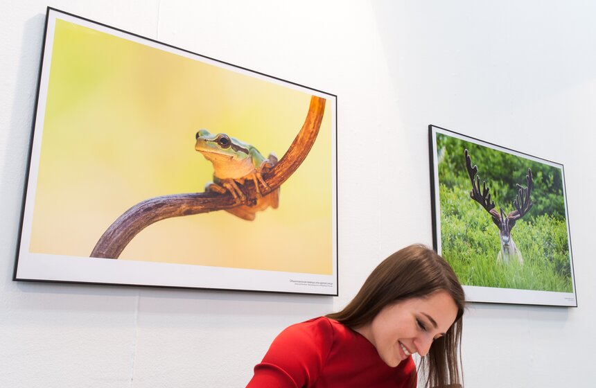 Фестиваль "Первозданная Россия" в Центральном доме художника 24 фото