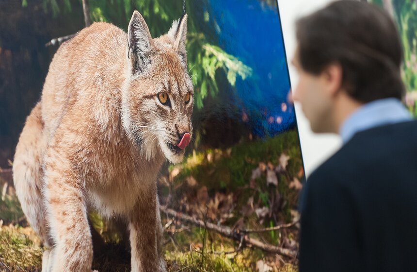 Фестиваль "Первозданная Россия" в Центральном доме художника 9 фото