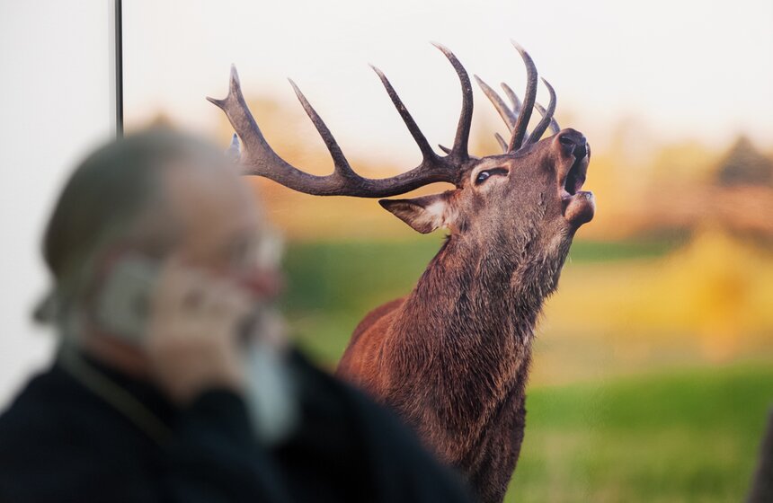 Фестиваль "Первозданная Россия" в Центральном доме художника 5 фото