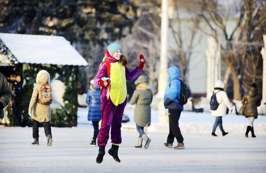 Куда сходить в новогодние праздники: ВДНХ 2 фото