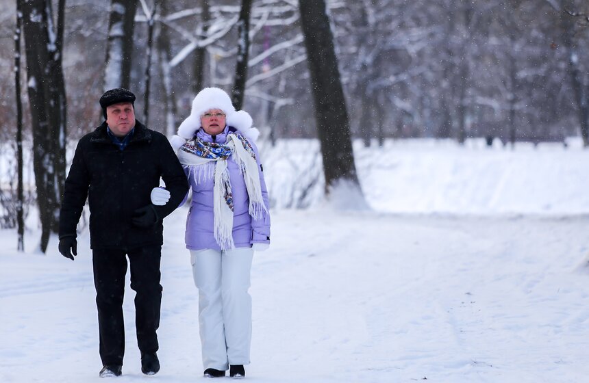 Новогодние каникулы в Воронцовском парке 8 фото