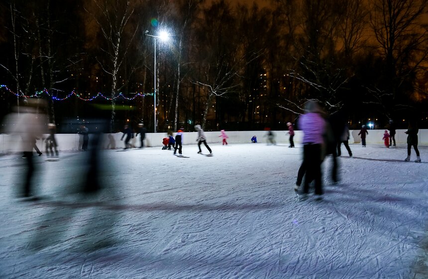 Новогодние каникулы в Воронцовском парке 28 фото
