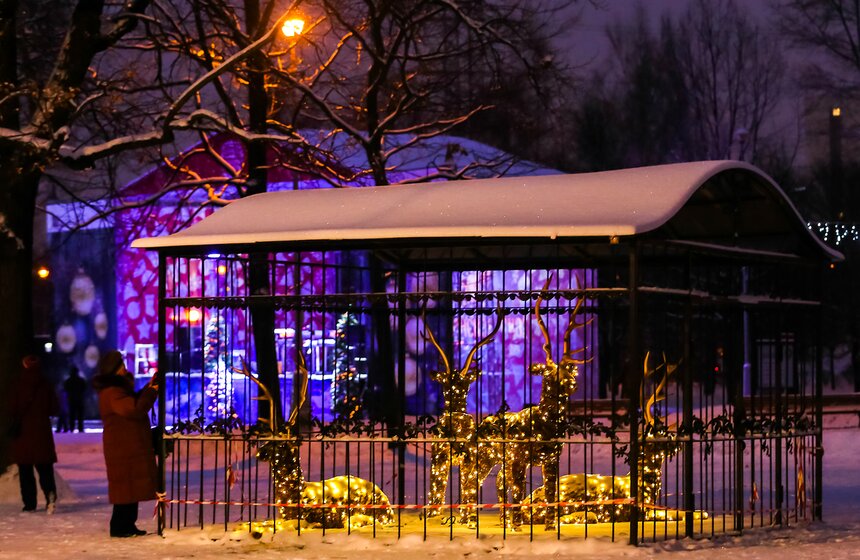 Новогодние каникулы в Воронцовском парке 23 фото