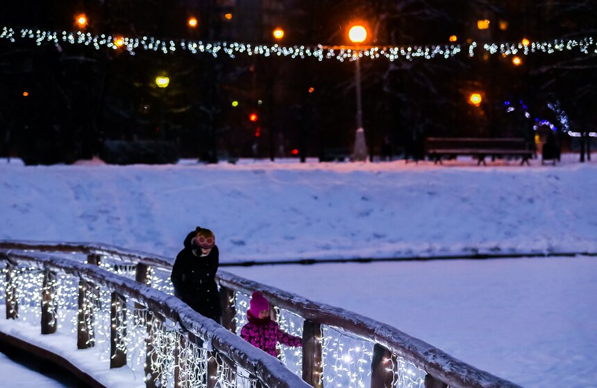 Новогодние каникулы в Воронцовском парке 22 фото