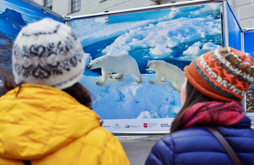 В Москве прошли Дни Арктики 11 фото